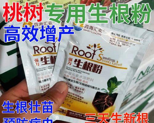 如何通过扦插繁殖樱桃树？（掌握扦插技巧，培育健康樱桃树）-第3张图片-绿意生活