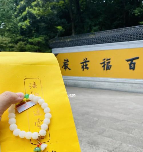 探寻白莲花的象征意义（从佛教到文化的多重意义解析）-第2张图片-绿意生活