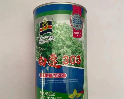 豆角的种植时间和技巧（掌握豆角的播种时间，让你丰收颗粒无收）-第3张图片-绿意生活