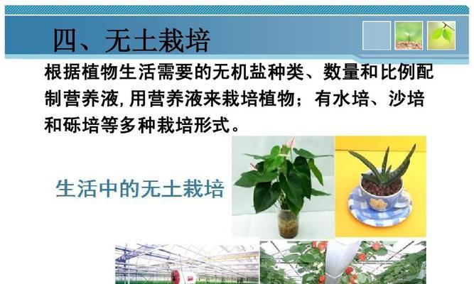 探究沙培植物的奇妙世界（揭秘沙漠中的神奇植物群落，以及它们的适应性和生存方式）-第3张图片-绿意生活