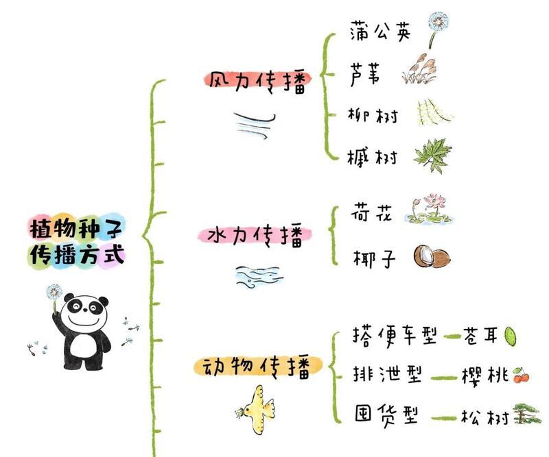 从自然传播到人工培育，探究芦苇的种子传播方式（从自然传播到人工培育，探究芦苇的种子传播方式）-第1张图片-绿意生活