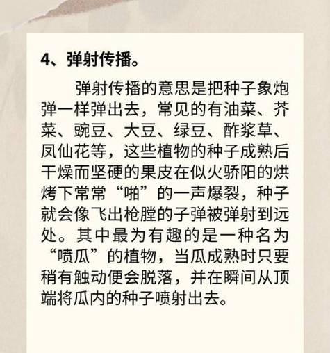 从自然传播到人工培育，探究芦苇的种子传播方式（从自然传播到人工培育，探究芦苇的种子传播方式）-第2张图片-绿意生活