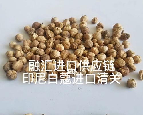 豆蔻与白豆蔻（你真的知道这两种香料的区别吗？）-第2张图片-绿意生活