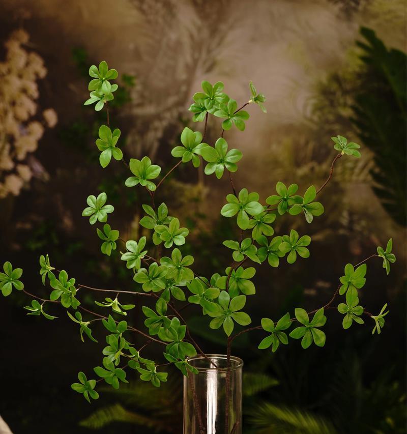 客厅玄关放什么植物好？（打造舒适空间，这些植物不可错过）-第2张图片-绿意生活