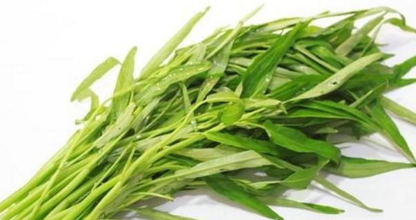探究空心菜的食用与药用价值（从营养、功效、适宜人群等角度分析空心菜的特点）-第1张图片-绿意生活