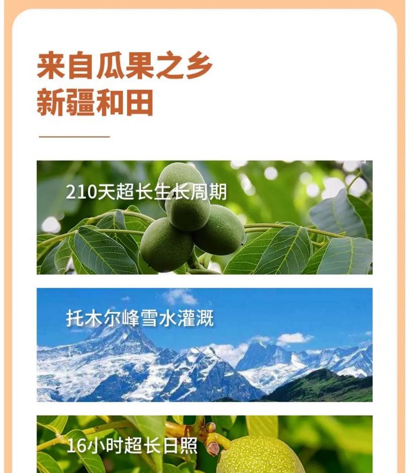 探秘核桃的生长过程（从花朵到果实，了解核桃的成长历程）-第3张图片-绿意生活