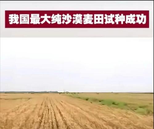 一亩地能产多少公斤麦子？（一亩地能产多少公斤麦子？）-第3张图片-绿意生活