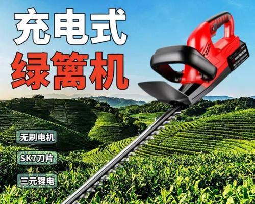 金银花的修剪方法（打造优美的花架，增强植物健康）-第3张图片-绿意生活