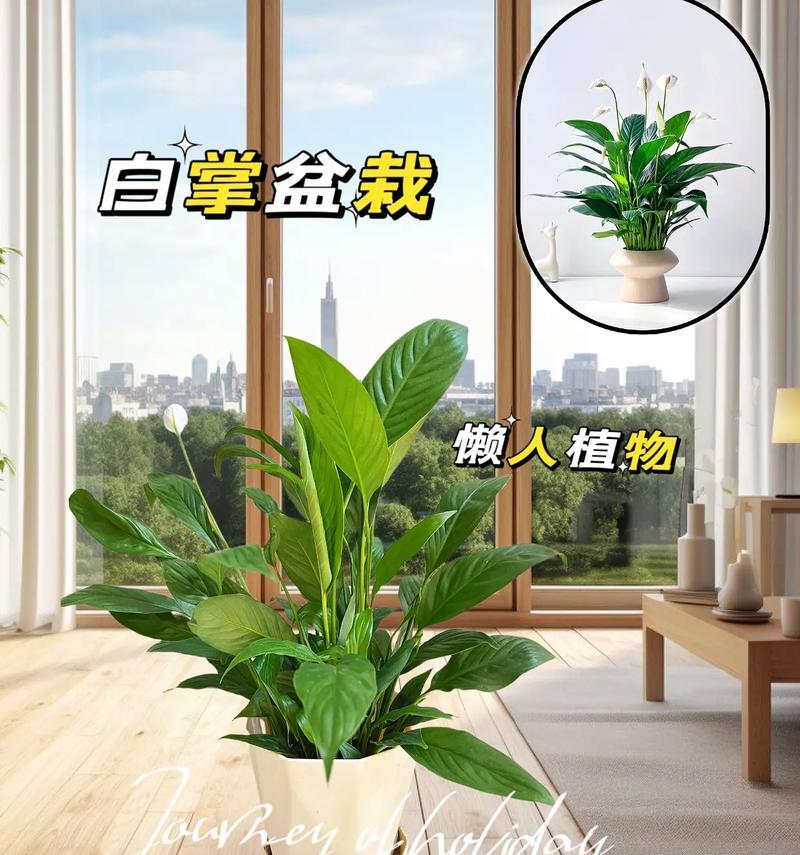 一帆风顺的养殖方式和注意事项（让你的养殖生意事半功倍）-第1张图片-绿意生活