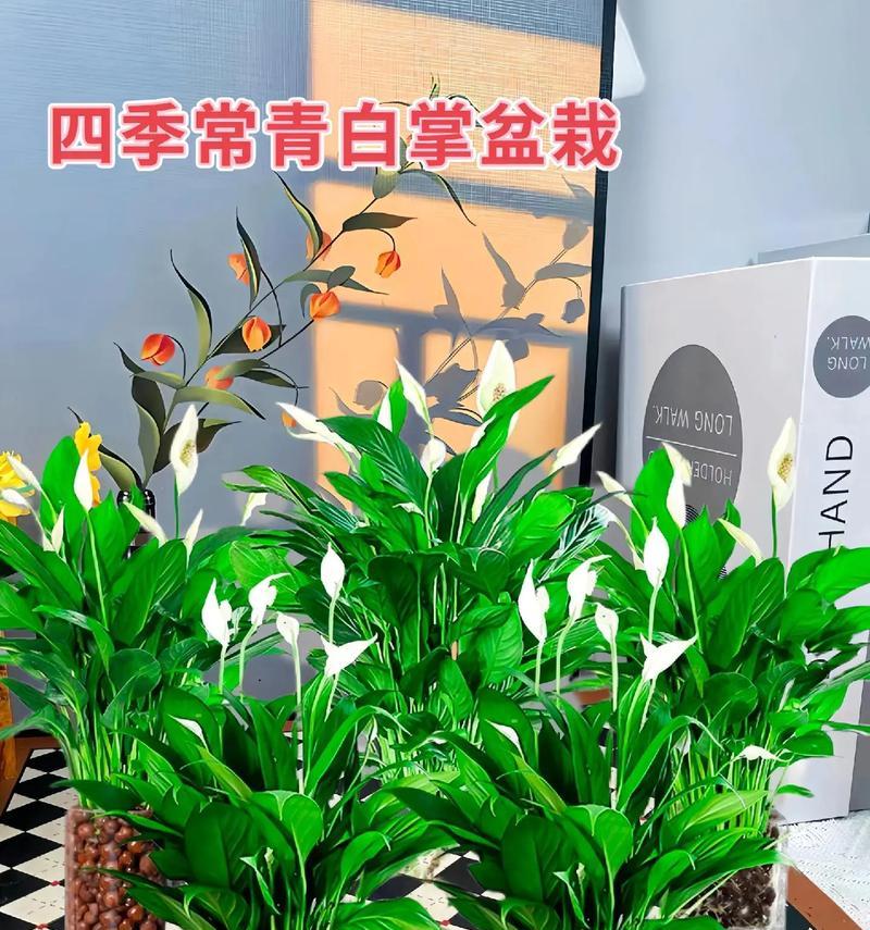 一帆风顺的养殖方式和注意事项（让你的养殖生意事半功倍）-第3张图片-绿意生活