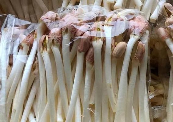 花生种子有毒吗？（了解花生种子的毒性及食用注意事项。）-第3张图片-绿意生活
