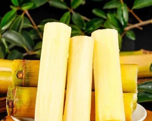 何时吃甘蔗最为适宜？（探究甘蔗的品质与季节）-第1张图片-绿意生活