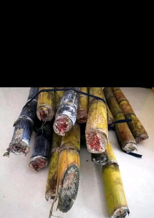 何时吃甘蔗最为适宜？（探究甘蔗的品质与季节）-第3张图片-绿意生活