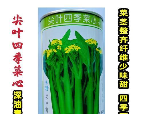 广州冬季蔬菜种植指南（冬季种植，丰收美味！广州冬天适合种什么菜？抢先了解！）-第3张图片-绿意生活
