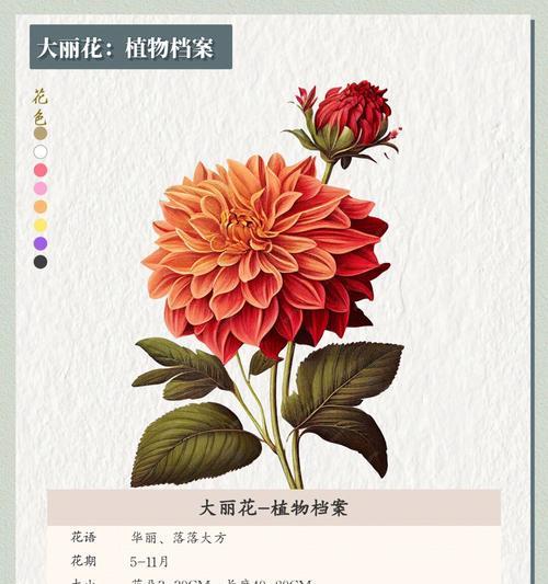 大丽花繁殖指南（了解繁殖方法与注意事项，让你的大丽花更美丽）-第3张图片-绿意生活