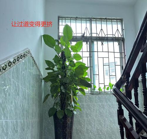 楼梯口的绿色装扮（打造舒适宜人的楼梯空间）-第1张图片-绿意生活