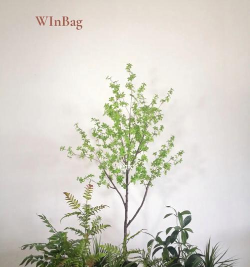 楼梯口的绿色装扮（打造舒适宜人的楼梯空间）-第2张图片-绿意生活