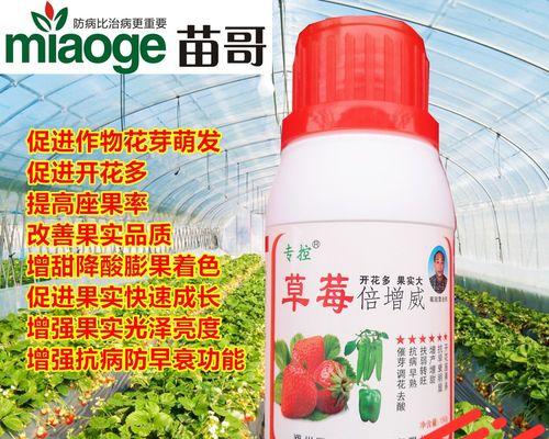 辣椒钻心虫防治方法（选择合适的药品，为您的辣椒保驾护航）-第3张图片-绿意生活