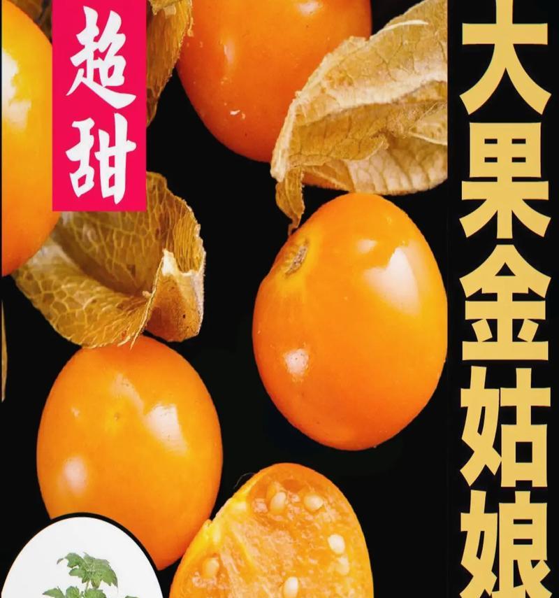 揭秘姑娘果的性质（热凉性分析及食用建议）-第3张图片-绿意生活