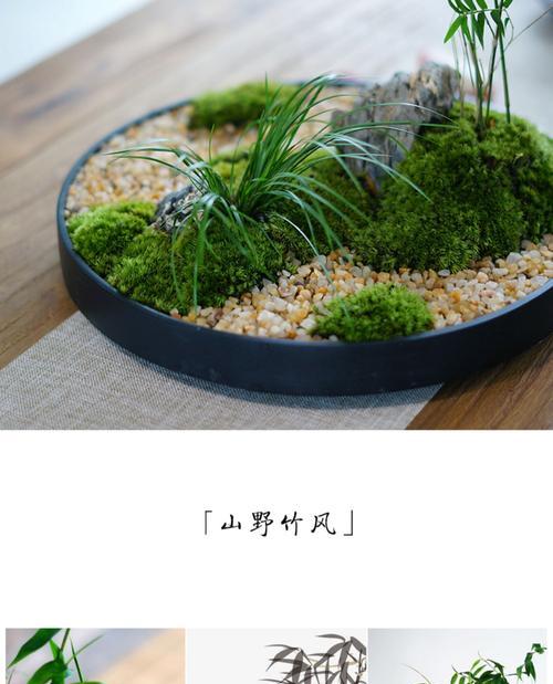 姬翠竹的养殖技巧及注意事项（打造优美环境，让姬翠竹生长茁壮）-第1张图片-绿意生活