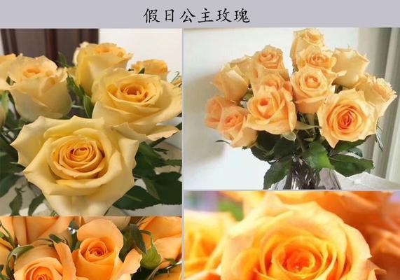 35玫瑰花语的美好寓意（解读35枝玫瑰花束的神秘花语，浪漫的爱情表达）-第2张图片-绿意生活