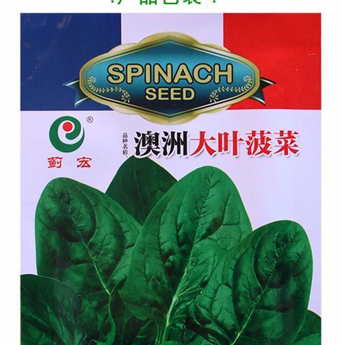 菠菜耐寒温度是多少？（探究菠菜的耐寒温度及其影响因素。）-第1张图片-绿意生活