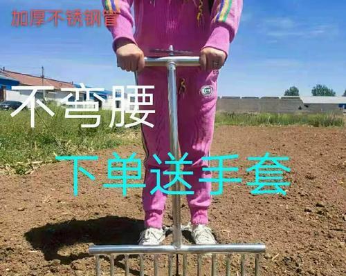 大葱移栽必备的时间和方法（如何确保健康的大葱生长？）-第1张图片-绿意生活