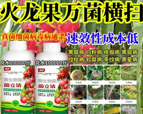 火龙果病毒病的症状和防治方法（了解火龙果病毒病的危害和预防方法）-第1张图片-绿意生活
