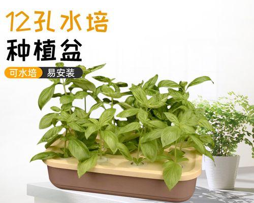 薄荷种植的最佳时间（种植季节、育苗、管理及采摘技巧）-第2张图片-绿意生活