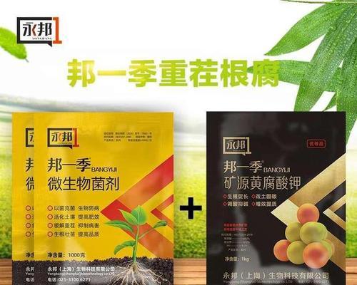 如何选择适合富贵子的肥料？（让您的富贵子茁壮成长的秘诀！）-第2张图片-绿意生活