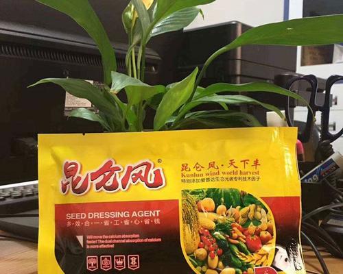 如何选择适合富贵子的肥料？（让您的富贵子茁壮成长的秘诀！）-第3张图片-绿意生活