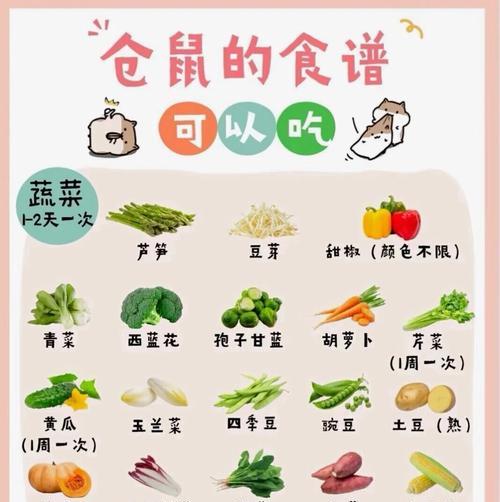 仓鼠能吃葡萄吗？（探讨仓鼠的饮食习惯与葡萄的关系）-第2张图片-绿意生活