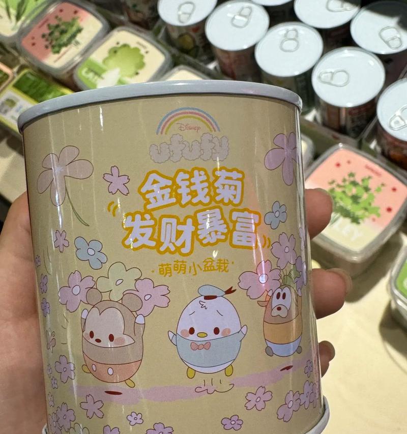 探秘菊花的生长环境与特点（从土壤到花期，了解菊花的成长秘密）-第3张图片-绿意生活