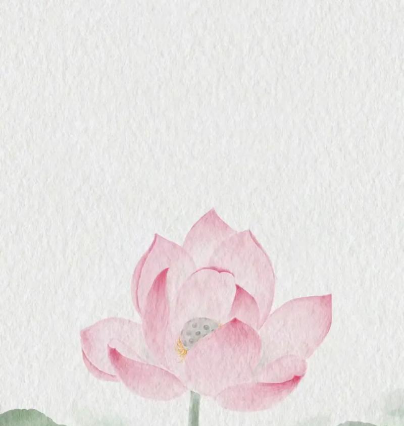 佛莲花的象征意义与传说（佛莲花在佛教文化中的重要地位）-第1张图片-绿意生活