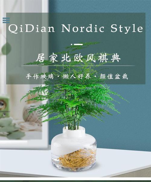 九里香盆栽的盆深选择指南（浅盆？深盆？如何选择九里香最佳生长环境）-第3张图片-绿意生活