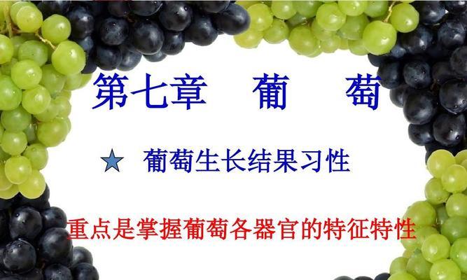 葡萄的生长环境及生长习性（掌握葡萄的生长条件及习性，打造高效果的葡萄种植场）-第1张图片-绿意生活