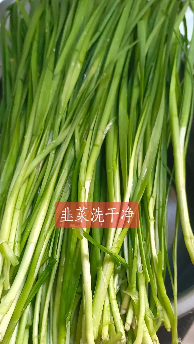 韭菜怎么洗才干净？正确的清洗方法大揭秘！-第3张图片-绿意生活