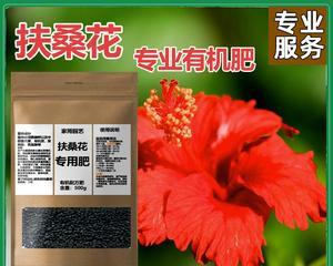 如何制作高效的扶桑花土？（掌握正确的配制方法，让你的扶桑花茁壮成长）-第2张图片-绿意生活