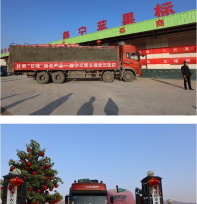 甘肃的主要农作物是什么？（探索甘肃农业产业的特点和优势）-第2张图片-绿意生活