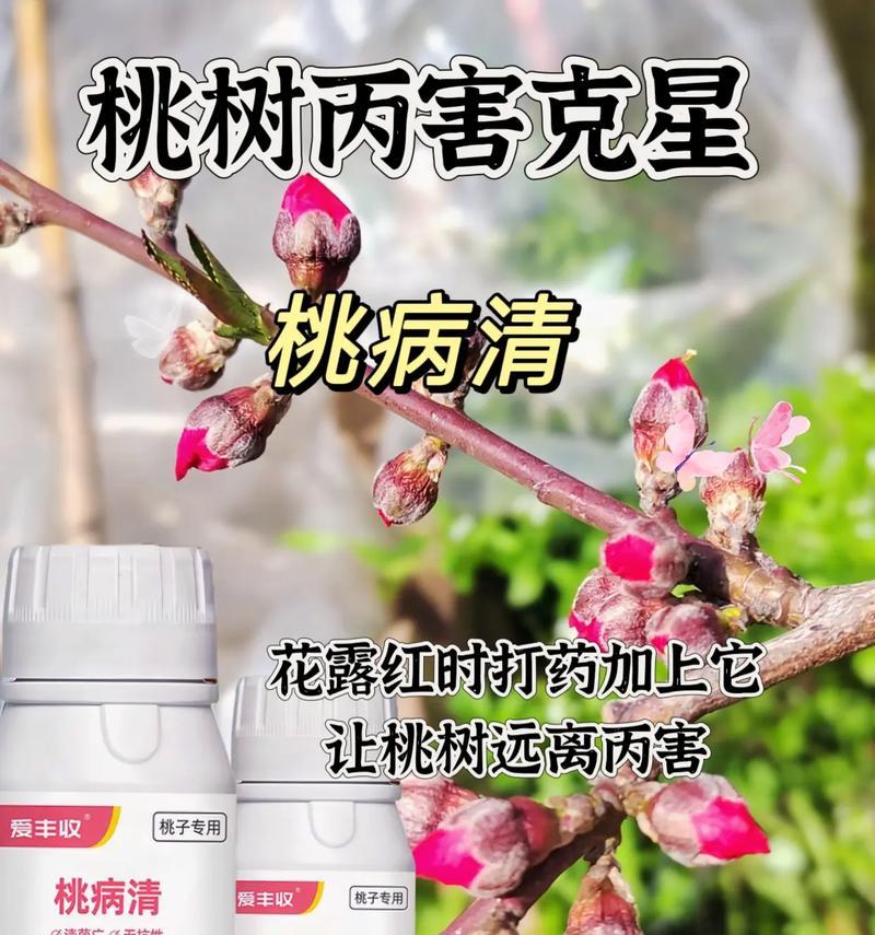 种植时间与生长周期影响桃树生长的研究（桃树生长的关键因素和栽培技巧）-第1张图片-绿意生活