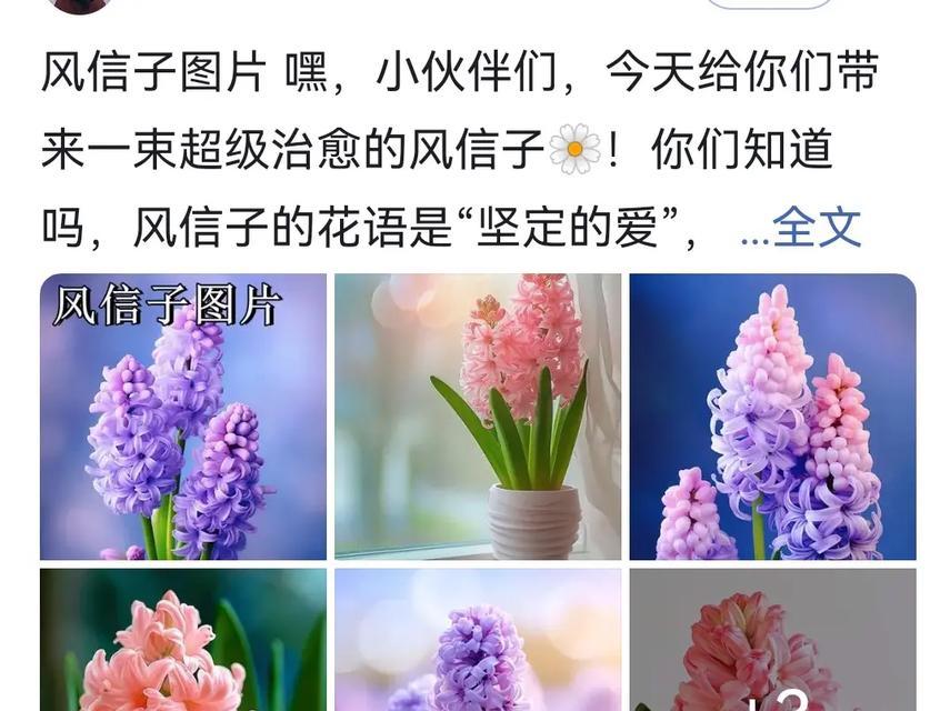 美丽的卫矛花——和风信子的姐妹花（探秘卫矛花的美丽与奥秘）-第2张图片-绿意生活