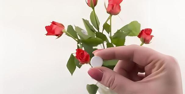 能否用阿司匹林浇茶花？（阿司匹林浇水对茶花的影响及注意事项）-第2张图片-绿意生活