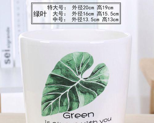 深盆与浅盆，九里香适合哪一种？（探究九里香的栽培要求与生长习惯，为你选择合适的盆器提供参考。）-第3张图片-绿意生活