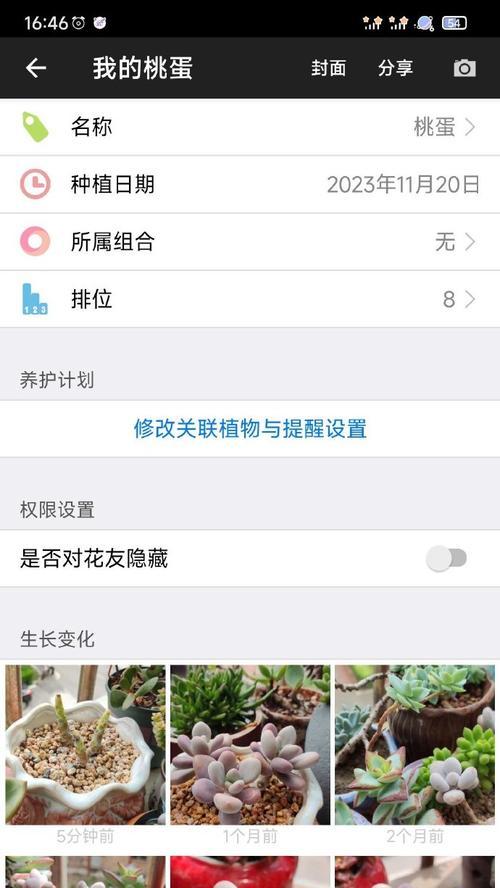 多肉植物的土壤配制方法（打造最适合多肉植物的土壤组成）-第3张图片-绿意生活