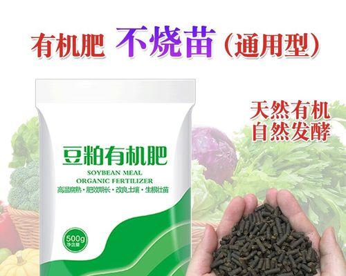 包心菜肥料施用技巧（掌握包心菜肥料的最佳配方，满足高产的需求）-第1张图片-绿意生活