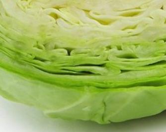 包心菜肥料施用技巧（掌握包心菜肥料的最佳配方，满足高产的需求）-第2张图片-绿意生活