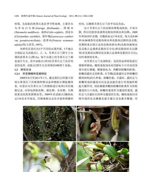 生石花繁殖指南（方法与注意事项，让你轻松繁殖）-第2张图片-绿意生活