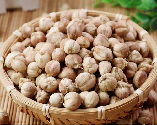 豆蔻和白豆蔻的区别与联系（探究这两种香料的特点及用途）-第2张图片-绿意生活