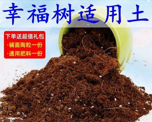 大盆幸福树换土全攻略（让你的幸福树焕发生机，轻松掌握换土技巧）-第1张图片-绿意生活