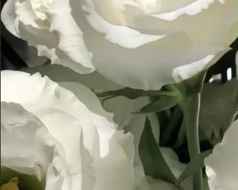 如何合理配土种植桔梗花？（桔梗花种植的土壤选择、配比和管理）-第2张图片-绿意生活